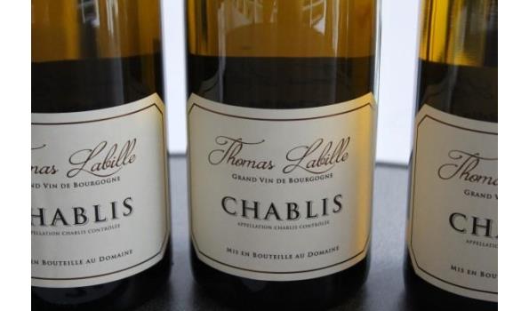 7 div flessen à 75cl witte wijn, Thomas Labille, Bourgogne, Petit chablis en Chablis, 2019/2020